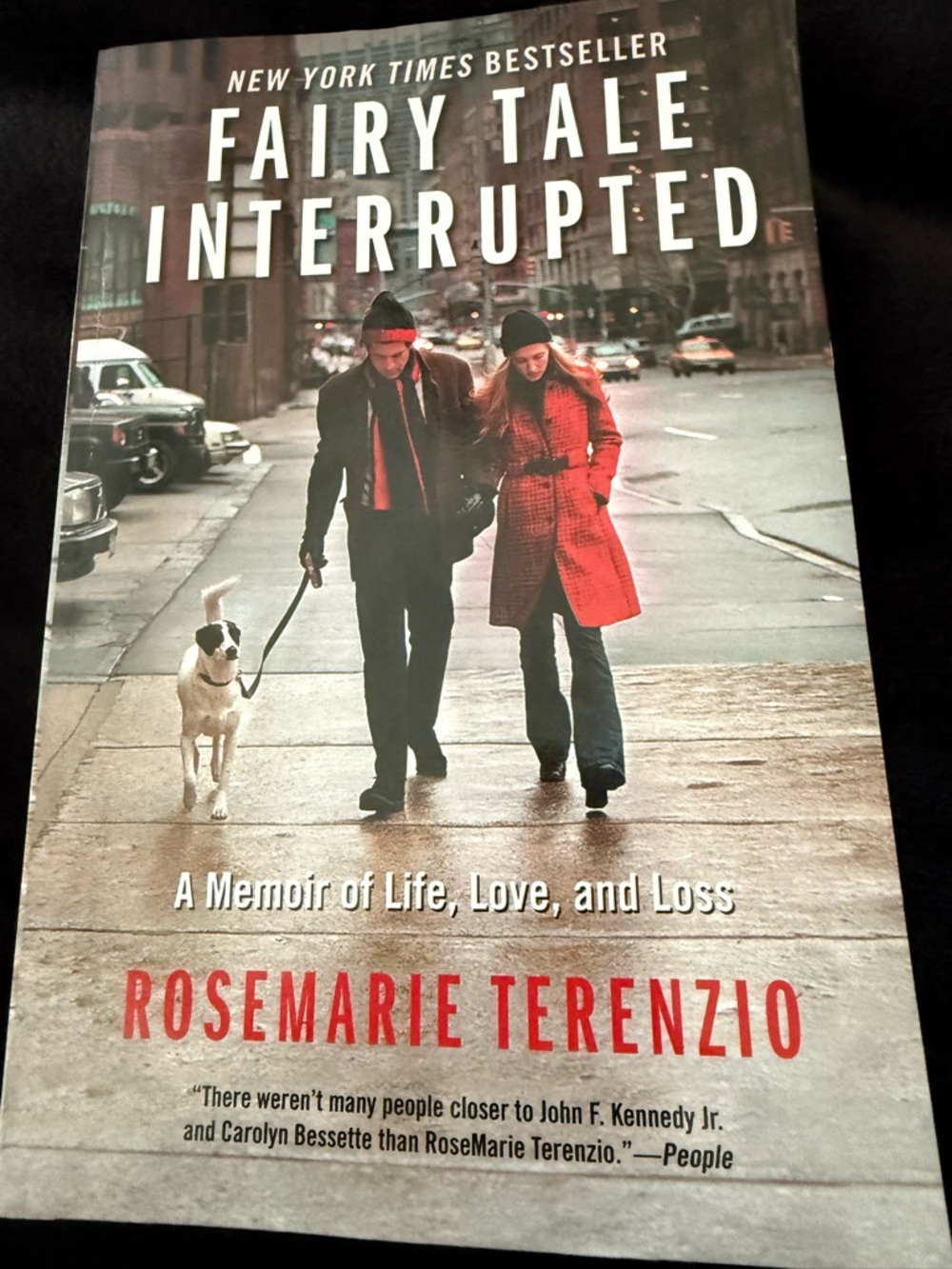 Fairy Tale Interrupted by RoseMarie Terenzio -